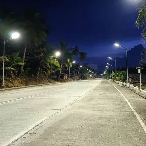Solar street lights illuminating a tropical road at night