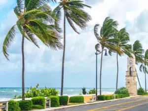 strong-wind-blowing-trees-and-street-lights-on-coastal-area2