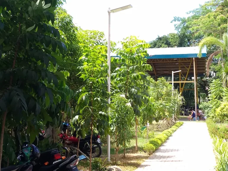 The Truth Behind Cheap Solar Street Lights in the Philippines—And Why They Fail main