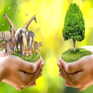 feature image solar energy climate not change Protecting wild life