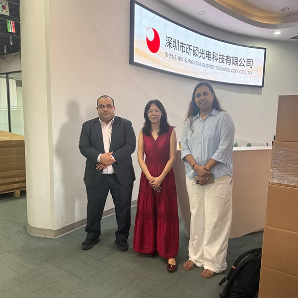 Sungreat Energy professional team posing for a photo with international B2B clients inside their corporate office.