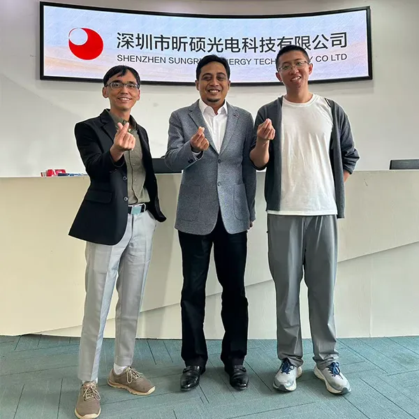 Das professionelle Team von Sungreat Energy posiert mit internationalen B2B-Kunden in den Firmenräumen für ein Foto.