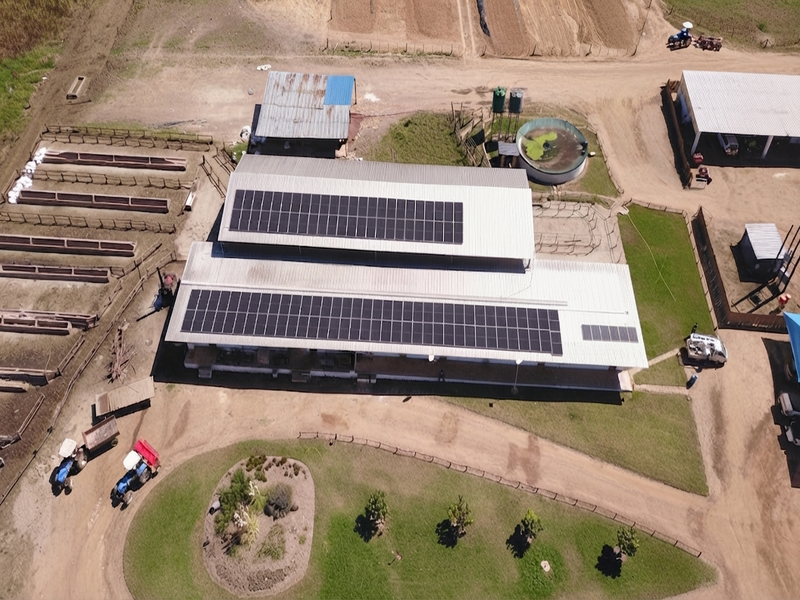 Mafuro Dairy – Safari Farm Irrigation 330 kwp solar system installed photo capture after installation