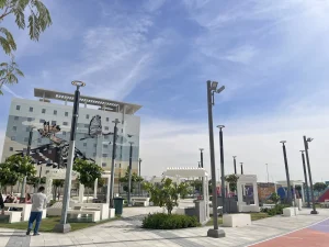 VS Series dual-arm smart light pole with integrated LED street lighting