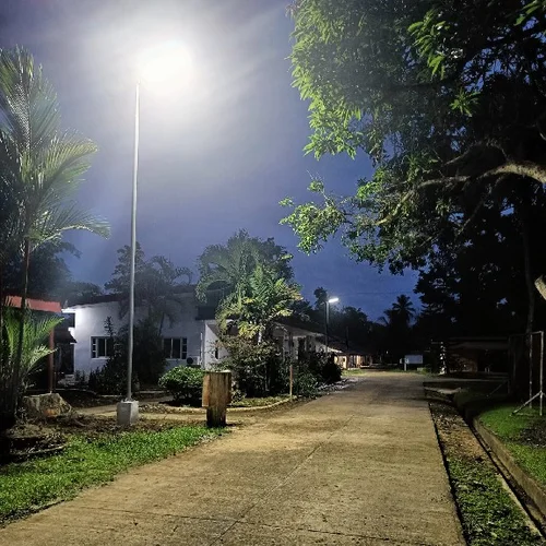 Lampioni solari Sungreat Energy serie QH che illuminano di notte un sentiero residenziale con palme e case